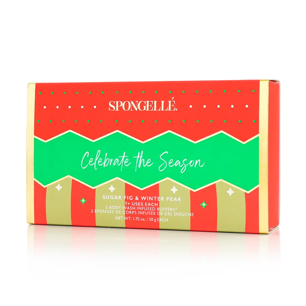 Celebrate the Season | Holiday Ornament Gift Set - Image 3