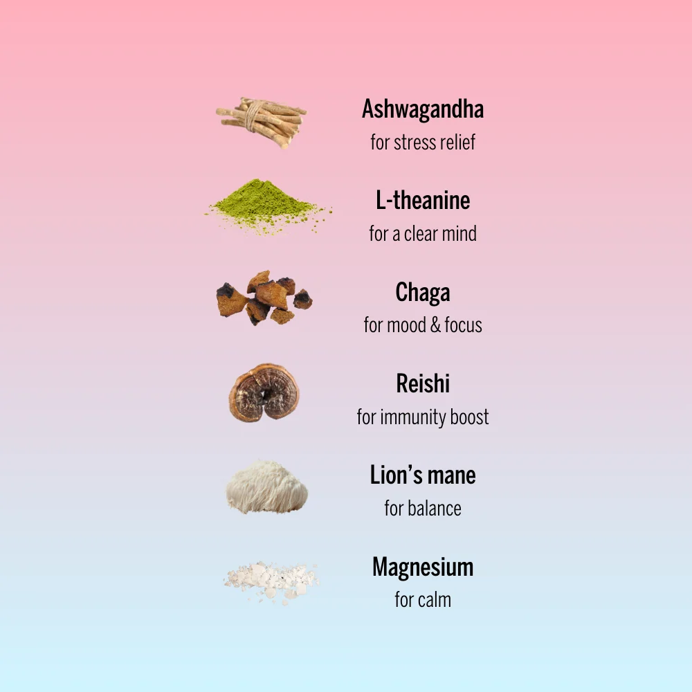 cinnamon cacao day-time blend for focus & energy - Image 3
